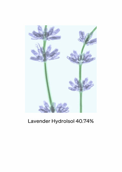 Lavender Deodorant Spray (Aluminum-Free)